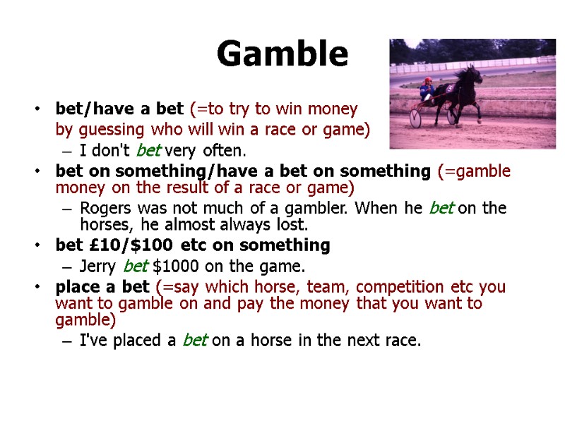 Gamble bet/have a bet (=to try to win money   by guessing who